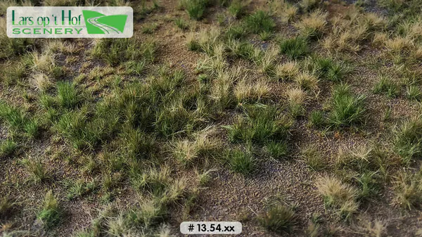 Hovedbilde Lars op 't Hof - Meadow summer - arid, large
