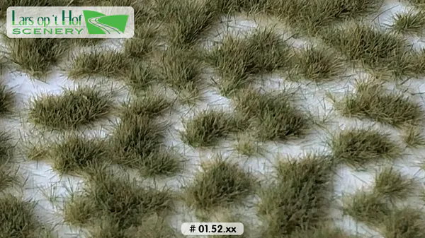 Hovedbilde Lars op 't Hof - Grass tufts early autumn - short