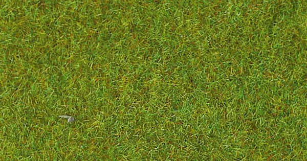 Hovedbilde Heki - Gressmatte 70x100cm