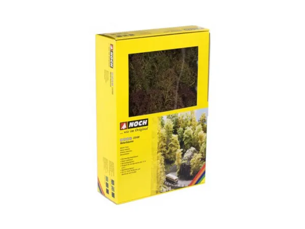 Hovedbilde Noch - Nature Trees