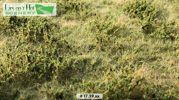 Hovedbilde Lars op 't Hof - Wild verge autumn, large