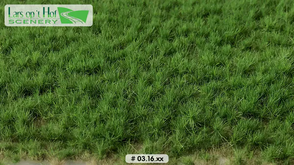Hovedbilde Lars op 't Hof - Grass tufts pasture spring - long