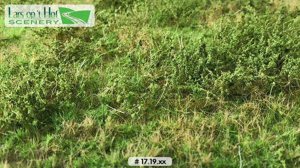 Hovedbilde Lars op 't Hof - Wild verge spring, medium