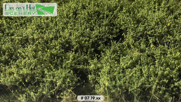 Hovedbilde Lars op 't Hof - Bushes light green - high
