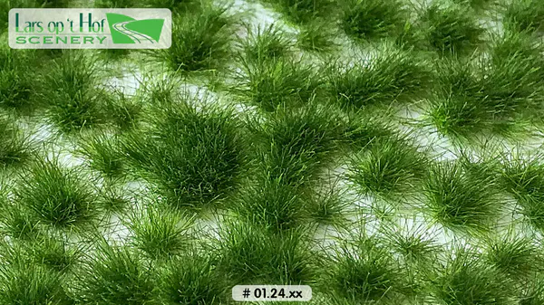 Hovedbilde Lars op 't Hof - Grass tufts late spring - long