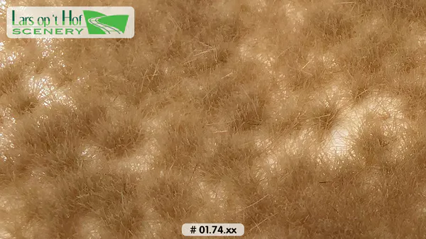 Hovedbilde Lars op 't Hof - Grass tufts dry - long