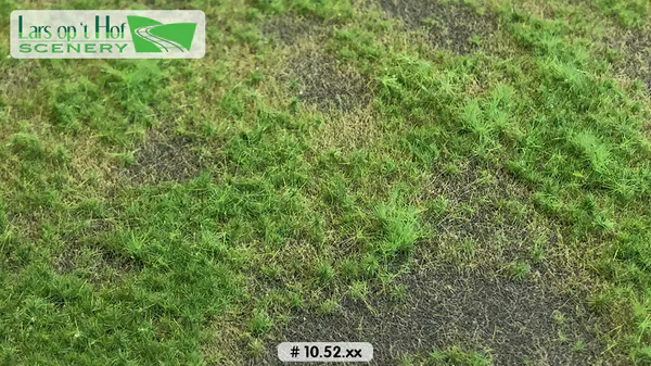 Hovedbilde Lars op 't Hof - Pasture with soil spring - short, large