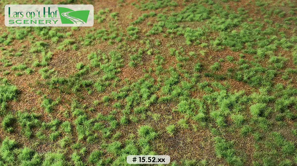 Hovedbilde Lars op 't Hof - Pine forest floor - type 1, medium