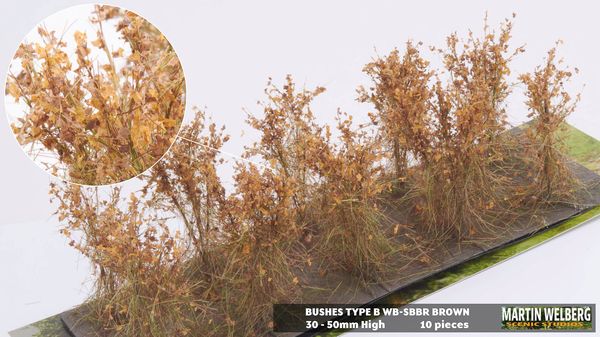 Hovedbilde Martin Welberg - Busker type B, Brown